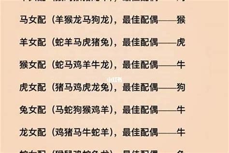 12生肖配對|最准的12生肖配对表，史上最全生肖婚配